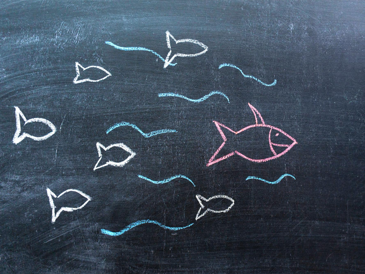 Діаграма Ісікави: ефективний інструмент для аналізу організаційних проблем. Коли варто її використовувати?